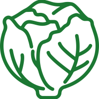 Colectivo_lechuga_Imagen_lechuga